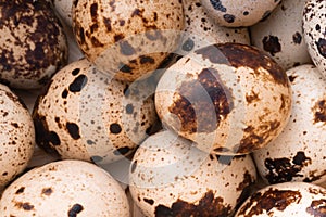 Fresh, farm, raw quail eggs on white background. Protein diet. Healthy diet