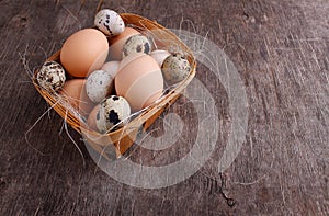 Fresh farmer eggs of chicken and quail