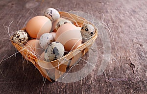 Fresh farmer eggs of chicken and quail