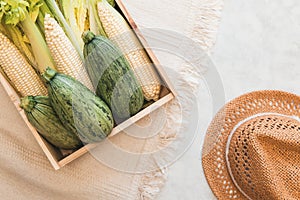 Fresh farmer market produce box - wooden box with fresh lettuce, corn, celery and zucchini on white background with straw hat