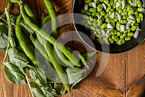 Fresh fava beans. The broad bean is a species of flowering plant in the Fabaceae family of peas and beans. In young plants the