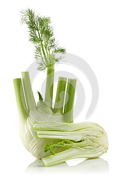 Fresh Fennel