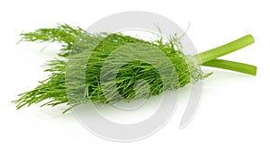 Fresh Fennel