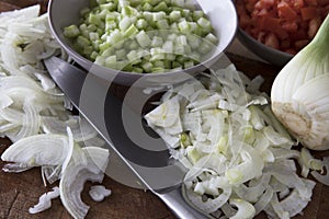 Fresh Fennel and Onion Slices