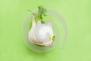 Fresh fennel over green background