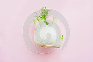 Fresh fennel over pink background