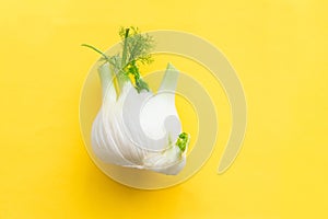 Fresh fennel over yellow background