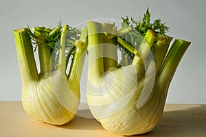 Fresh fennel on white cutting board