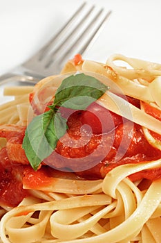 Fresh Fettuccine With Spaghetti Sauce