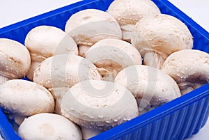 Fresh field mushrooms in a basket