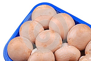 Fresh field mushrooms in a basket