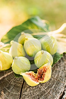 Fresh figs