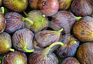 Fresh Figs