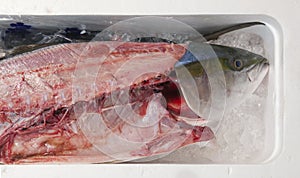 Fresh filleted fish in a Japanese market
