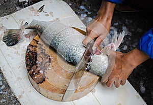 Fresh filleted fish were sold in the urban market.