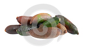 Fresh finger limes isolated on white background. Caviar lime. Fruits pods. Clipping path.