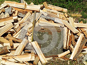 Fresh firewood splits at log photo
