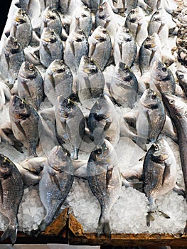 Fresh Fish, Athens Markets, Greece photo