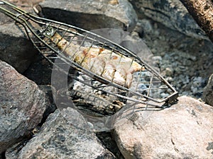Fresh fish of a barbecue on a fire coals