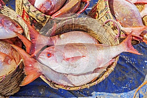 Fresh Fish in basket at Long Hai fish market