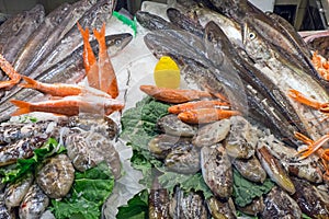 Fresh fish at the Boqueria market