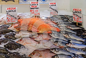 Fresh fish branzino, tilapia, catfish and snapper on ice for sale at Pike Place Market in Seattle, Washington