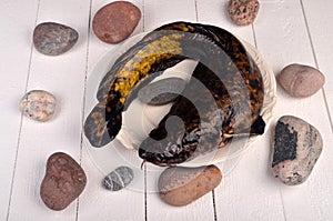 Fresh fish burbot on white plate, close up, white background