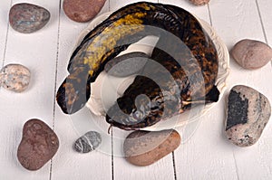 Fresh fish burbot on white plate, close up, white background