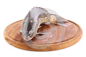 Fresh fish (carp) on wooden board