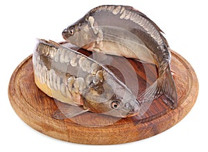 Fresh fish (carp) on wooden board