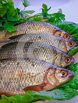 Fresh fish caught in the lake on a plate
