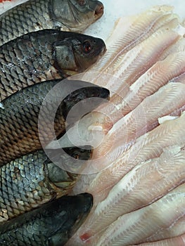 Fresh fish on the counter of the store