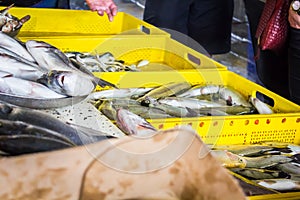 Fresh fish in different sizes laying on a table