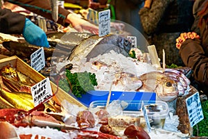 Fresh fish on display at Borough Market