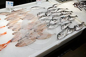 Fresh fish on display at the supermarket