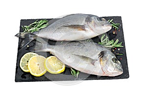 Fresh fish dorado or sea bream. Raw fish seabass with ingredients for cooking isolated on white background