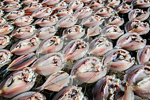 Fresh fish drying on net.