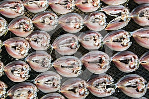 Fresh fish drying on net.