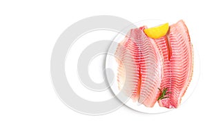 Fresh fish fillet sliced for steak or salad with herbs spices rosemary and lemon - Raw tilapia fillet fish on white background and