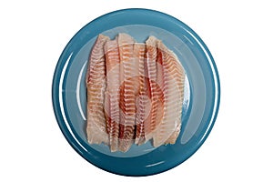 Fresh Fish Fillets in Plate