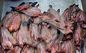 Fresh fish food is placed in the resection of bin.