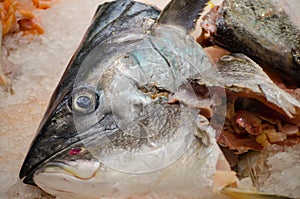Fresh fish head cutlet on ice in close-up at a fish market.