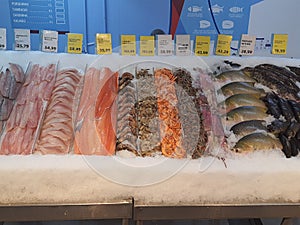 Fresh fish on ice, different types, colorful, whole and fillets, in a fishmonger .
