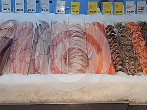 Fresh fish on ice, different types, colorful, whole and fillets, in a fishmonger .