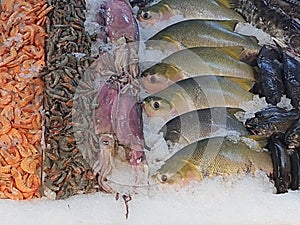 Fresh fish on ice, different types, colorful, whole and fillets, in a fishmonger . photo