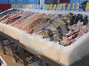 Fresh fish on ice, different types, colorful, whole and fillets, in a fishmonger . photo
