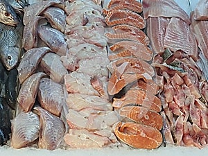 Fresh fish on ice, different types, colorful, whole and fillets, in a fishmonger . photo