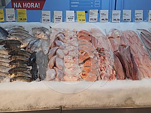 Fresh fish on ice, different types, colorful, whole and fillets, in a fishmonger . photo