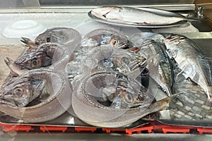 Fresh fish on ice in the fish market, closeup of photo