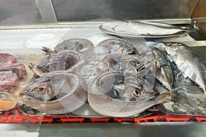 Fresh fish on ice in the fish market, closeup of photo